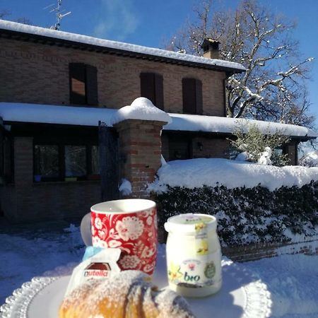 Il Castagneto Bed & Breakfast Camerino Luaran gambar