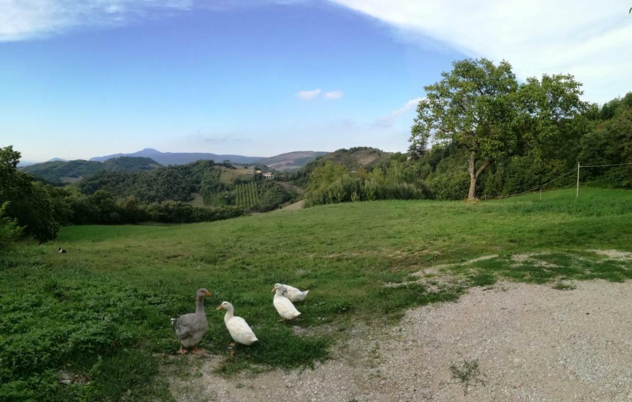 Il Castagneto Bed & Breakfast Camerino Luaran gambar