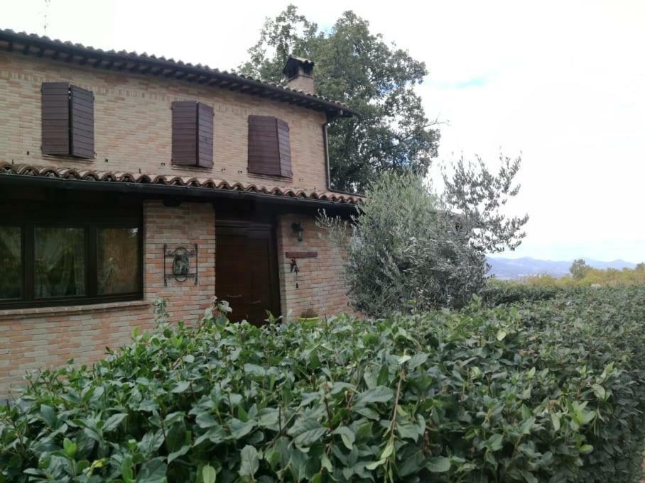 Il Castagneto Bed & Breakfast Camerino Luaran gambar